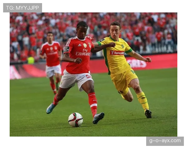 本菲卡新赛季迎新挑战，年轻小将成关注焦点