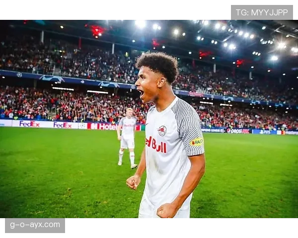 狼堡整体实力表现稳健，近期竞争力持续提升