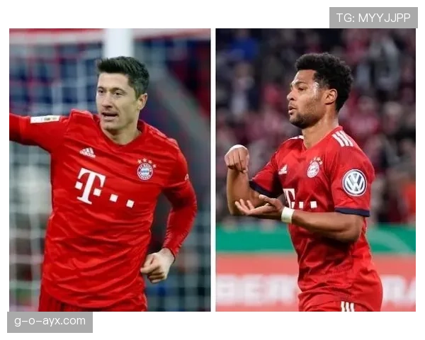 格纳布里联赛数据与战术角色解析